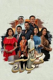 Because I Love You So Much tv show poster