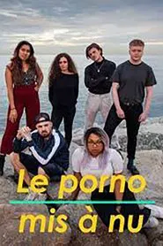 Le Porno mis à nu tv show poster