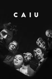 Poster do filme Caiu