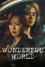 Wonderful World tv show poster
