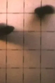 2nd Floor Film movie poster