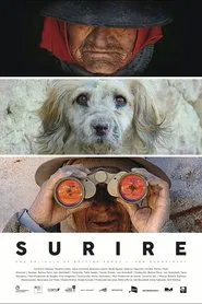 Surire movie poster