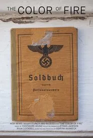 The Color of Fire movie poster