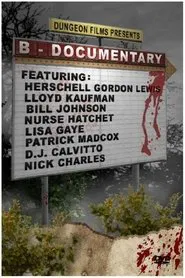 B-Documentary movie poster