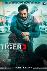 Tiger 3 movie poster
