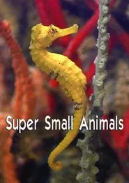 Super Small Animals movie poster