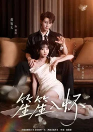 笙笙入怀 tv show poster