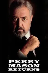 Perry Mason Returns tv show poster