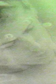 finally destroy us movie poster