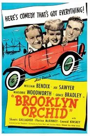 Poster do filme Brooklyn Orchid