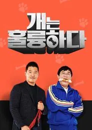 Dogs Are Incredible tv show poster