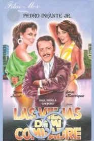 Las viejas de mi compadre movie poster