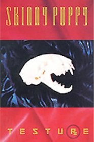 Testure movie poster