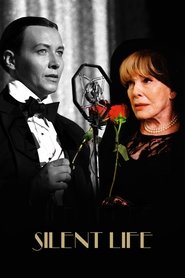 Silent Life: The Story of the Lady in Black movie poster