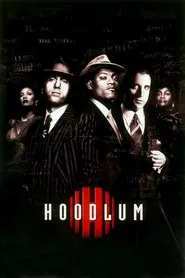 Hoodlum movie poster