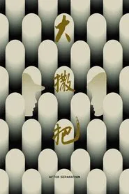 Poster do filme After Separation
