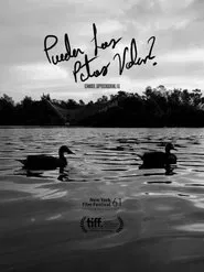 Can Ducks Fly? movie poster