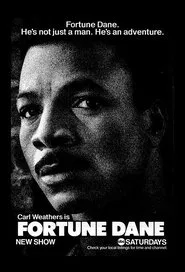 Fortune Dane tv show poster