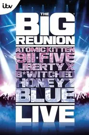 The Big Reunion Live movie poster
