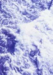 Waterwork movie poster