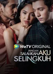 Pardon My Affair tv show poster