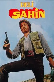 Poster do filme Deli Şahin