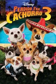 Poster do filme Perdido pra Cachorro 3