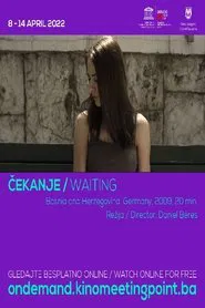 Waiting movie poster