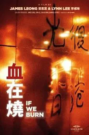 Poster do filme If We Burn