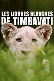 Poster do filme La terre des lionnes blanches