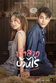 The Wedding Contract tv show poster