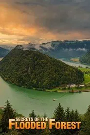 Secrets of the Flooded Forest - Danube National Park movie poster
