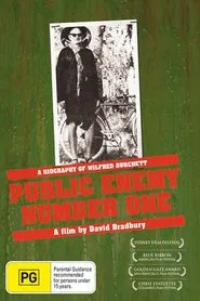 Public Enemy Number One movie poster