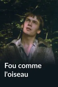 Fou comme l'oiseau movie poster