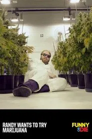 Randy Wants To Try Marijuana movie poster