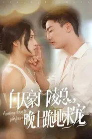 白天豪门凌总，晚上跪地求宠 tv show poster