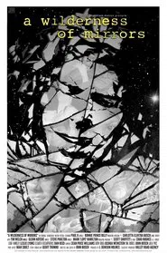 A Wilderness of Mirrors movie poster