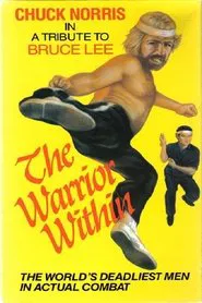 Poster do filme The Warrior Within