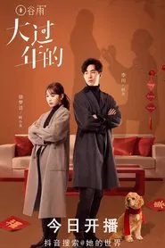 大过年的 tv show poster