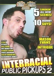 Interracial Public Pickups 2 movie poster
