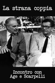 La strana coppia. Incontro con Age e Scarpelli movie poster