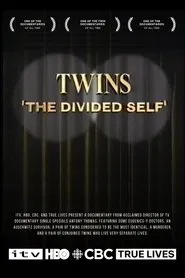 Twins: The Divided Self movie poster