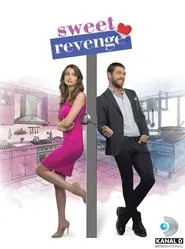 Sweet Revenge tv show poster