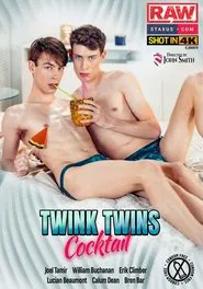 Twink Twins Cocktail movie poster