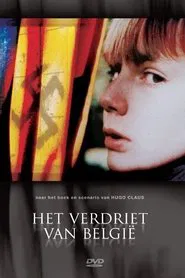 Poster da série Het verdriet van België
