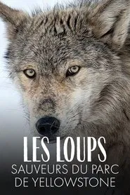 Yellowstone: The Mystery of the Wolves movie poster
