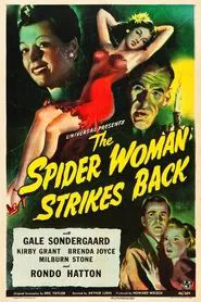 The Spider Woman Strikes Back movie poster
