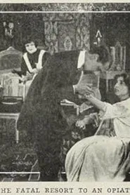 The Spirit of the Poppy movie poster