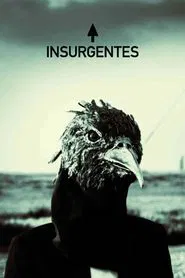 Poster do filme Steven Wilson - Insurgentes
