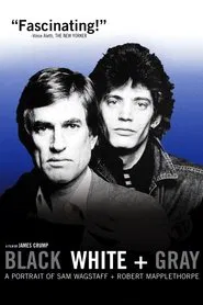 Black White + Gray: A Portrait of Sam Wagstaff and Robert Mapplethorpe movie poster